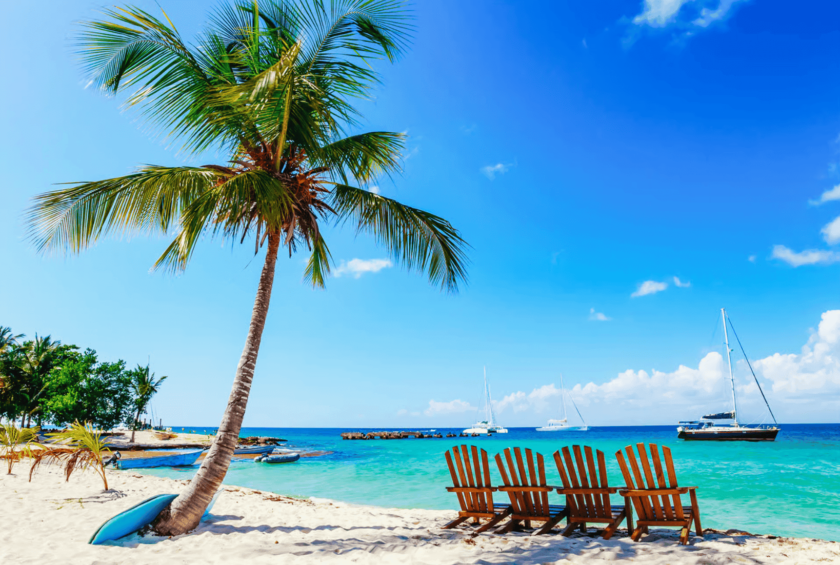 Small boat excursion navigating mangrove channels and wildlife in Saona Island Excursions: Tours, Boats & Day Trips