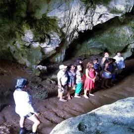 Birdwatching in Los Haitises National Park - Image 19