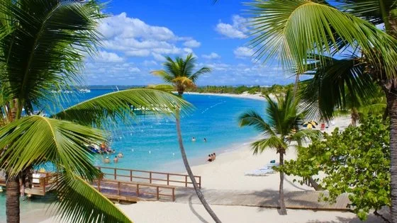 Catalina Island and Snorkeling with Catamaran Party From Punta Cana - Half Day Experience - Image 5