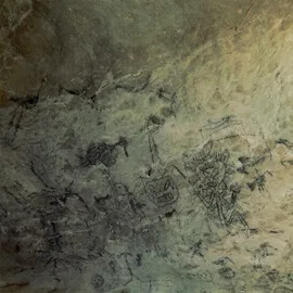 Birdwatching in Los Haitises National Park - Image 20