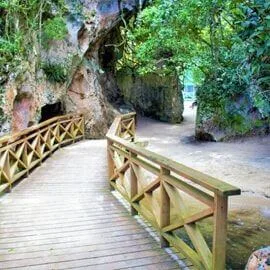 Birdwatching in Los Haitises National Park - Image 17