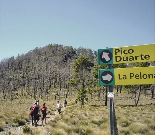 Pico Duarte Hike with Local Experts - Duarte Peak Camping & Trekking - Image 9